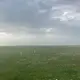 评论者头像